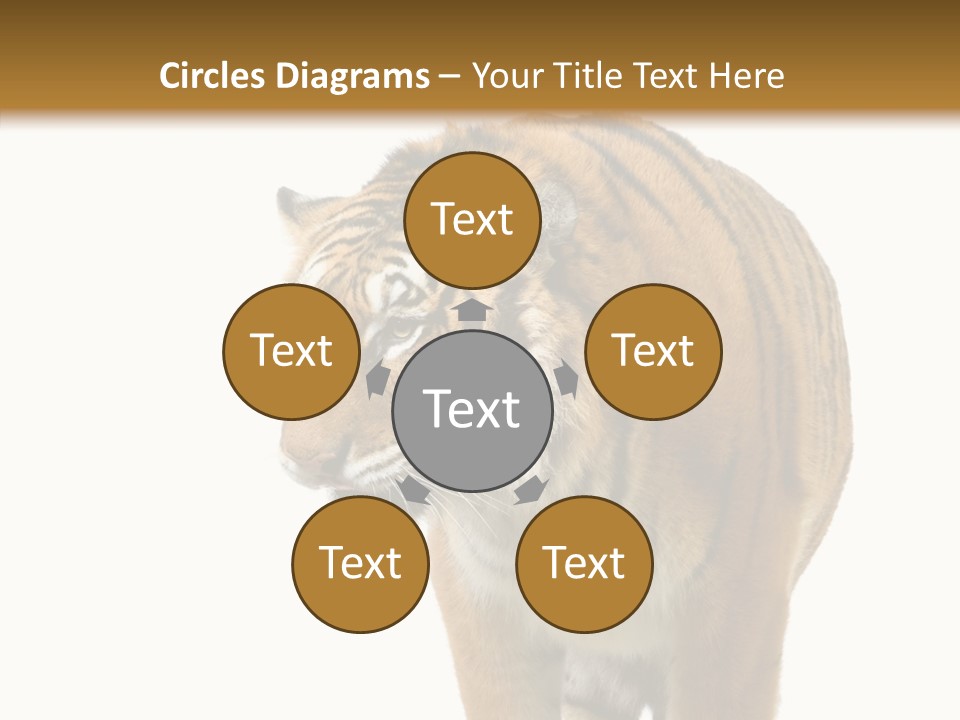 Hunter Furry Cat PowerPoint Template