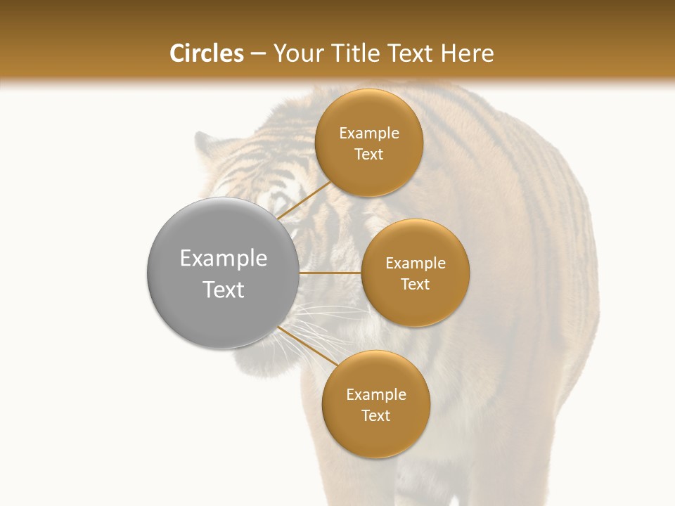 Hunter Furry Cat PowerPoint Template