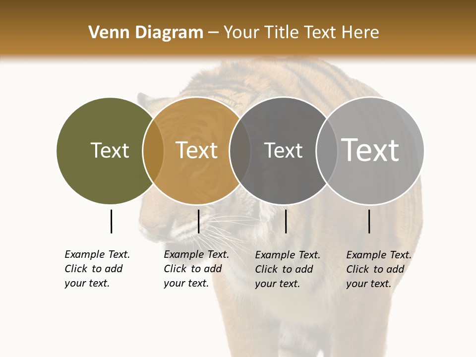 Hunter Furry Cat PowerPoint Template