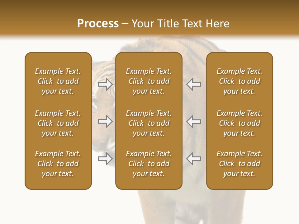 Hunter Furry Cat PowerPoint Template