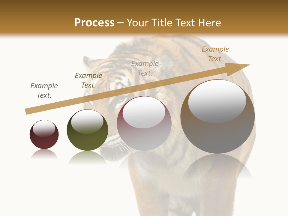 Hunter Furry Cat PowerPoint Template