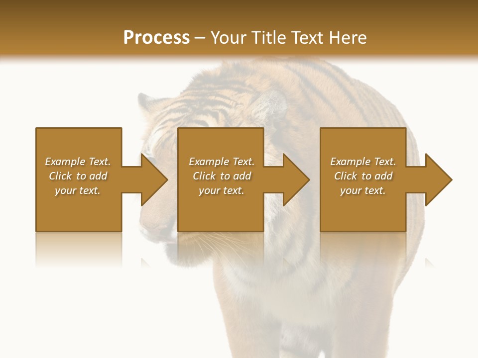 Hunter Furry Cat PowerPoint Template