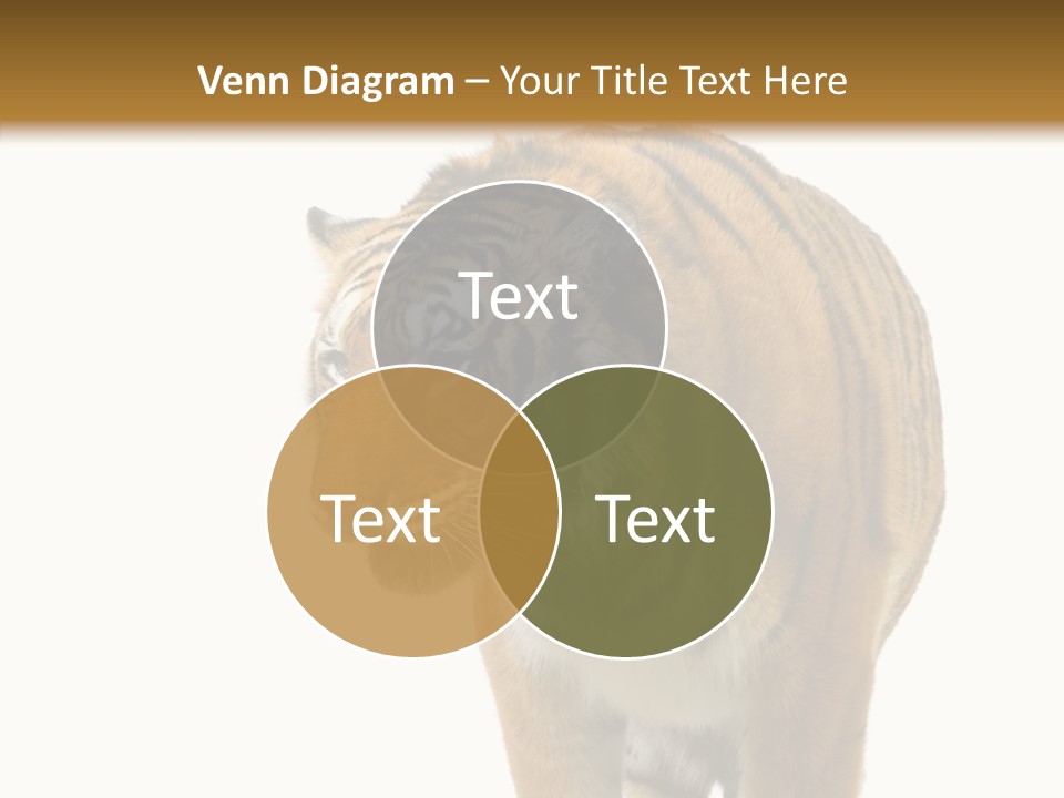 Hunter Furry Cat PowerPoint Template