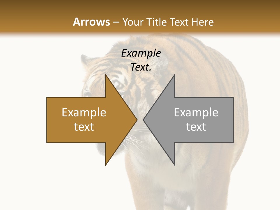 Hunter Furry Cat PowerPoint Template