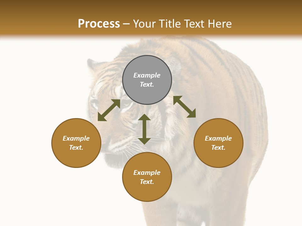 Hunter Furry Cat PowerPoint Template