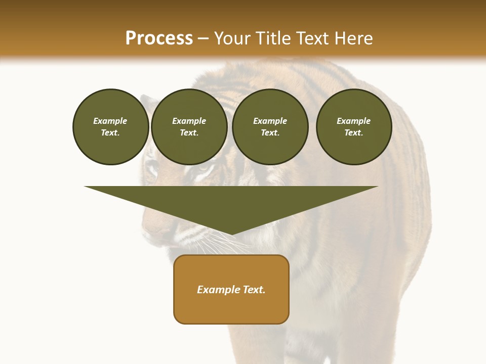 Hunter Furry Cat PowerPoint Template