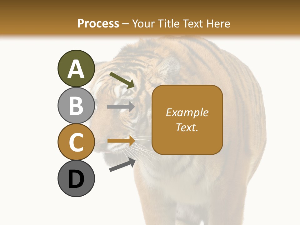 Hunter Furry Cat PowerPoint Template