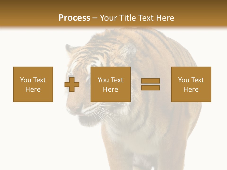 Hunter Furry Cat PowerPoint Template