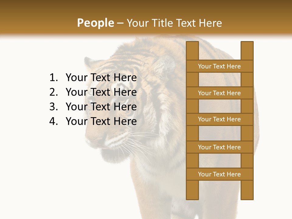 Hunter Furry Cat PowerPoint Template