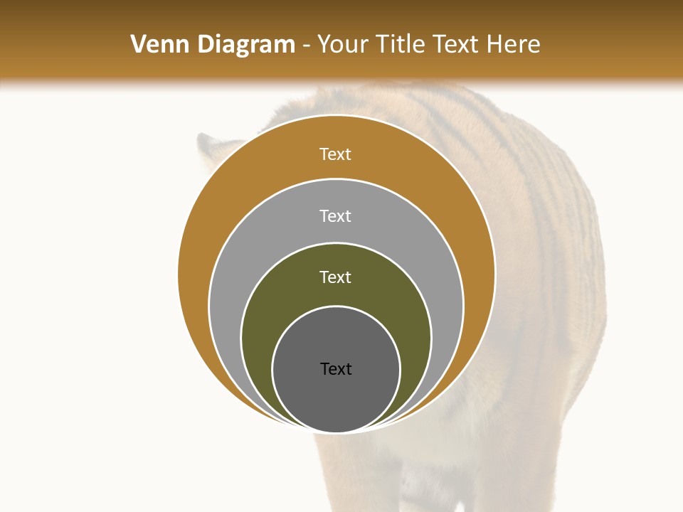 Hunter Furry Cat PowerPoint Template