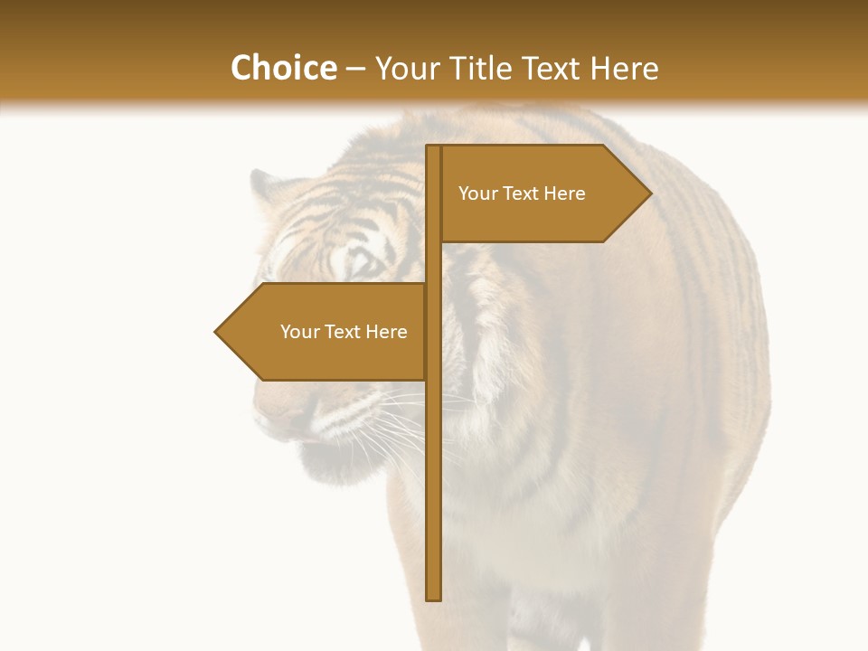 Hunter Furry Cat PowerPoint Template