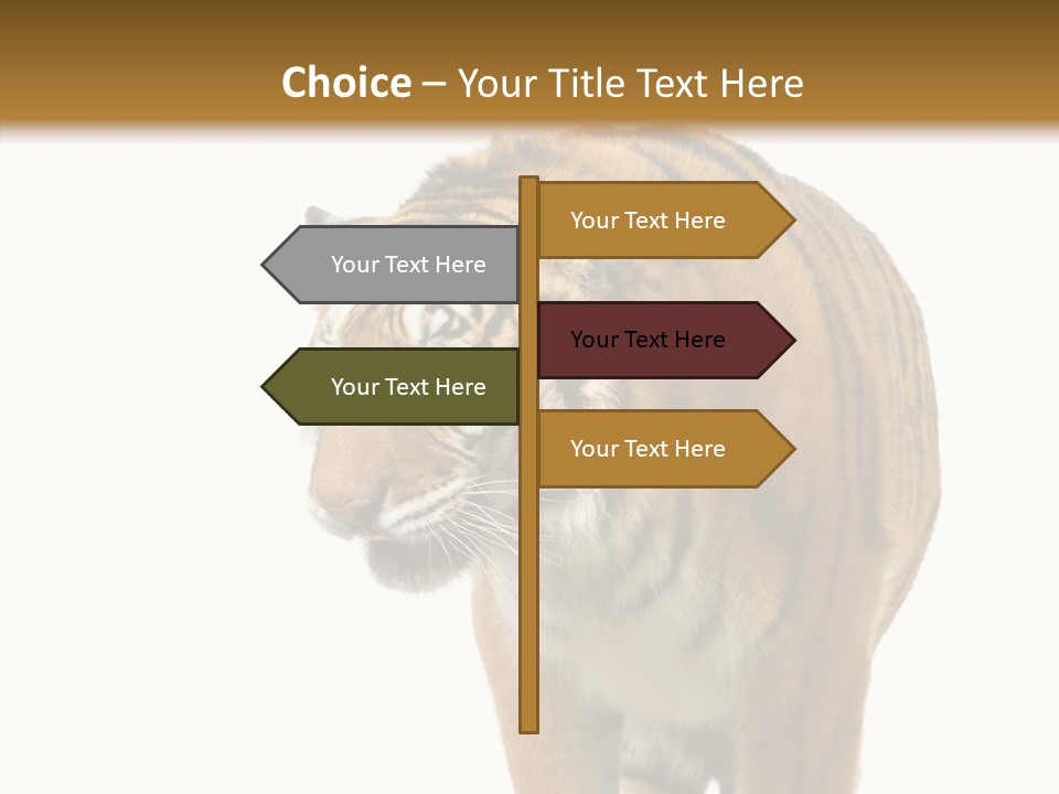 Hunter Furry Cat PowerPoint Template