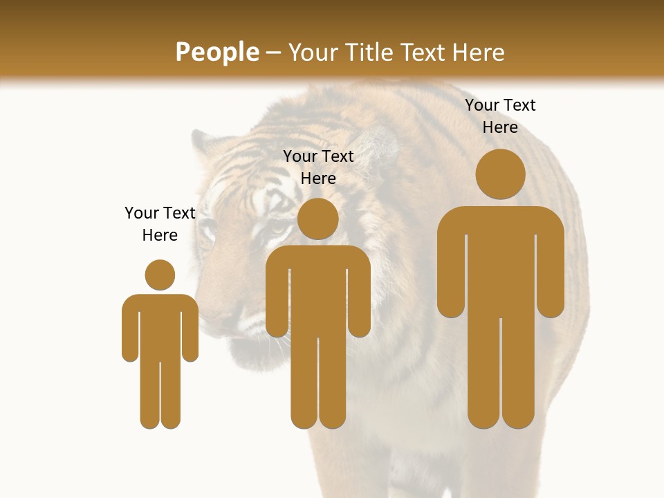 Hunter Furry Cat PowerPoint Template