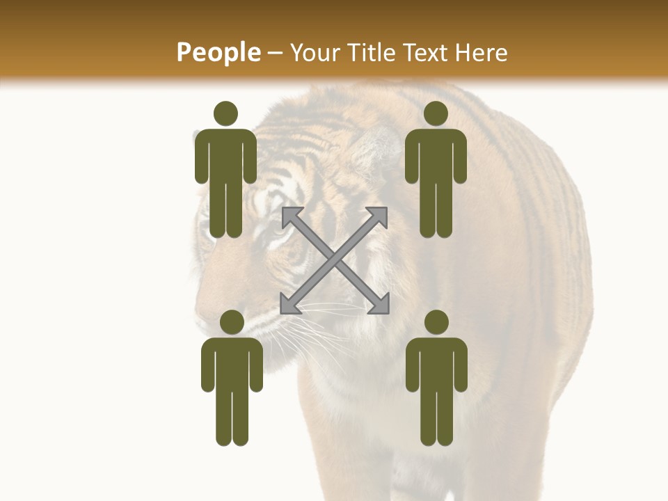 Hunter Furry Cat PowerPoint Template