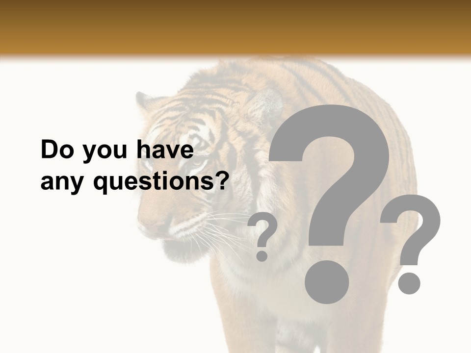 Hunter Furry Cat PowerPoint Template