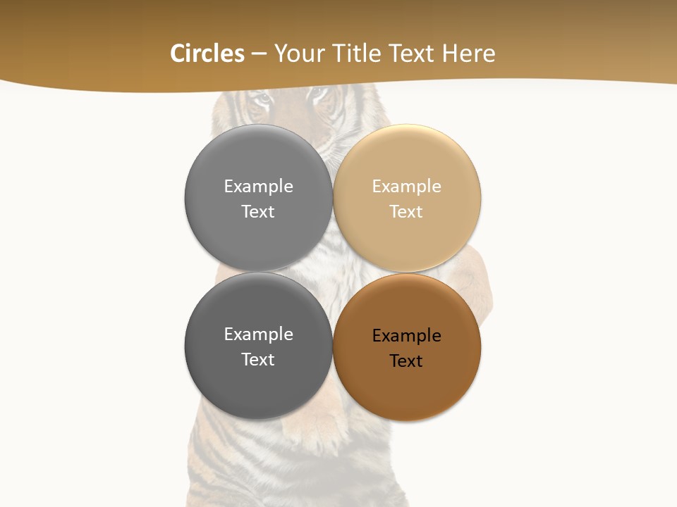 Bengal Awe Wild PowerPoint Template