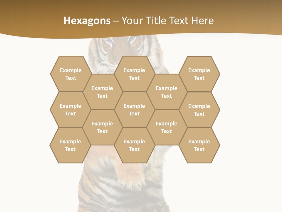 Bengal Awe Wild PowerPoint Template