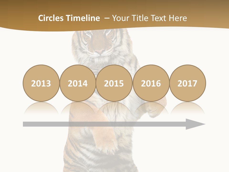 Bengal Awe Wild PowerPoint Template