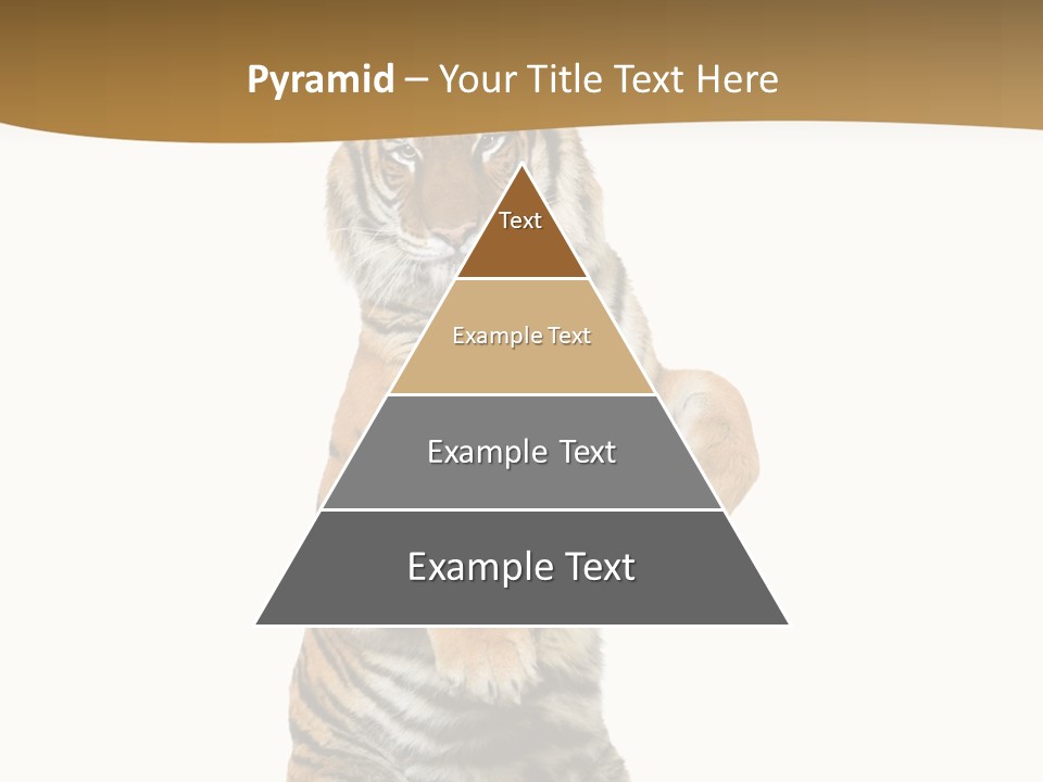 Bengal Awe Wild PowerPoint Template