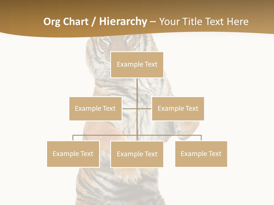 Bengal Awe Wild PowerPoint Template