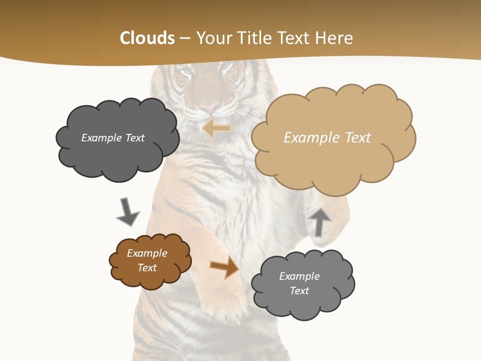 Bengal Awe Wild PowerPoint Template