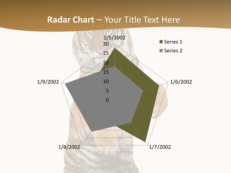 Bengal Awe Wild PowerPoint Template