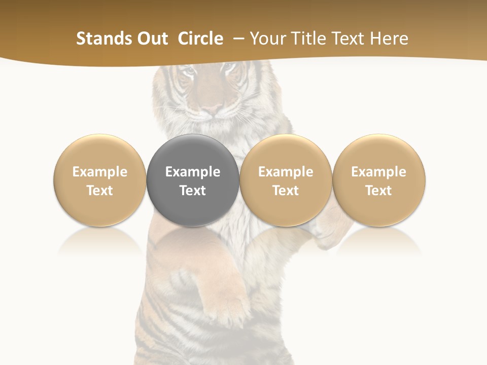 Bengal Awe Wild PowerPoint Template