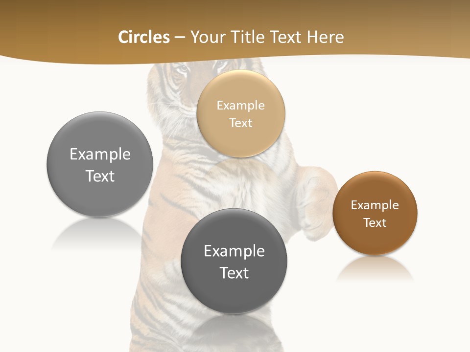 Bengal Awe Wild PowerPoint Template