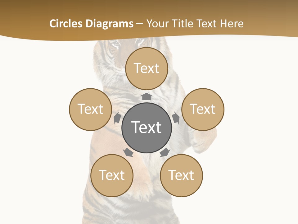 Bengal Awe Wild PowerPoint Template