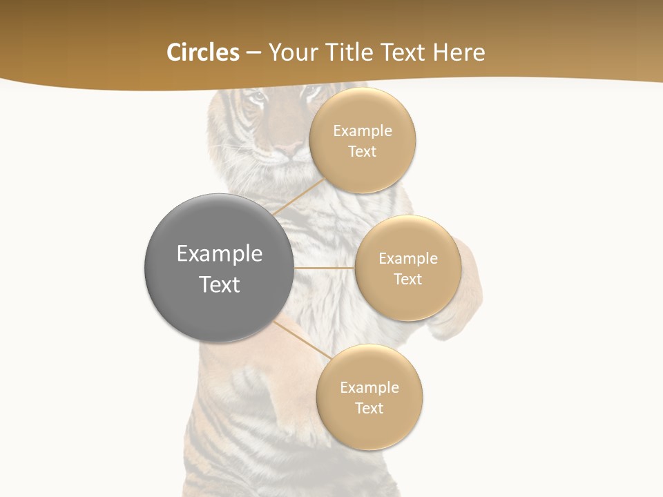 Bengal Awe Wild PowerPoint Template