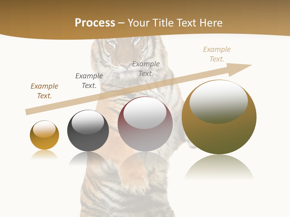 Bengal Awe Wild PowerPoint Template