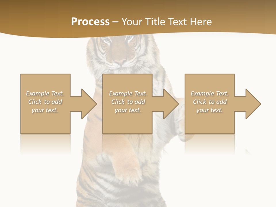 Bengal Awe Wild PowerPoint Template