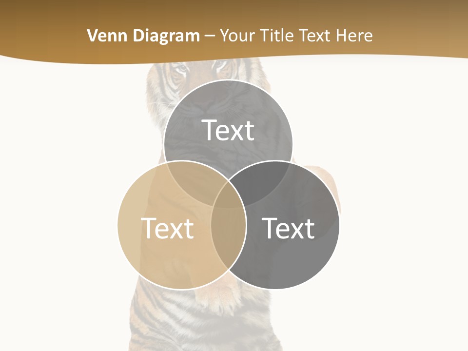 Bengal Awe Wild PowerPoint Template