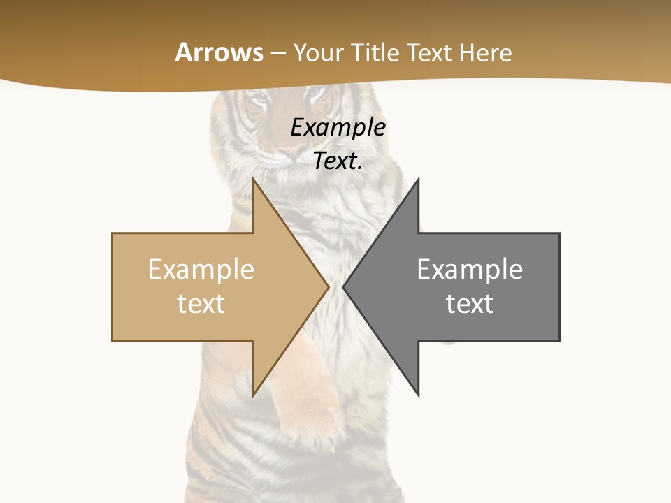 Bengal Awe Wild PowerPoint Template