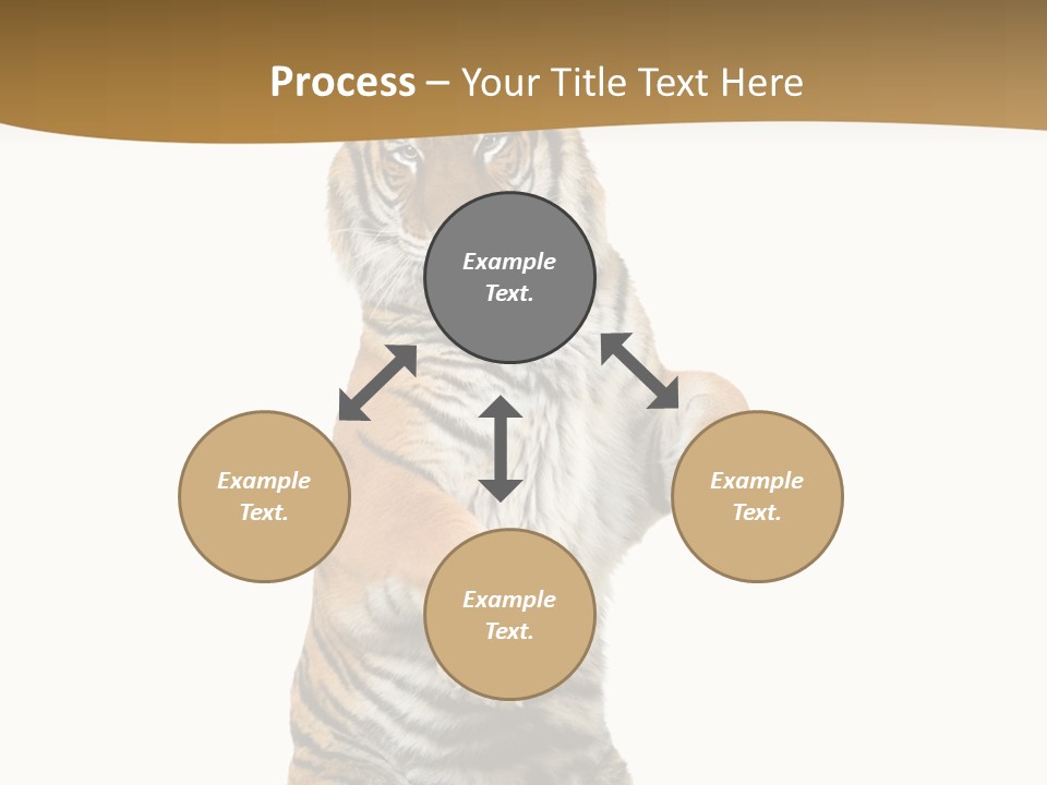 Bengal Awe Wild PowerPoint Template