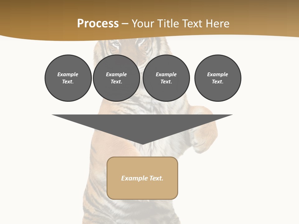 Bengal Awe Wild PowerPoint Template