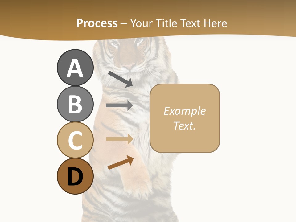 Bengal Awe Wild PowerPoint Template