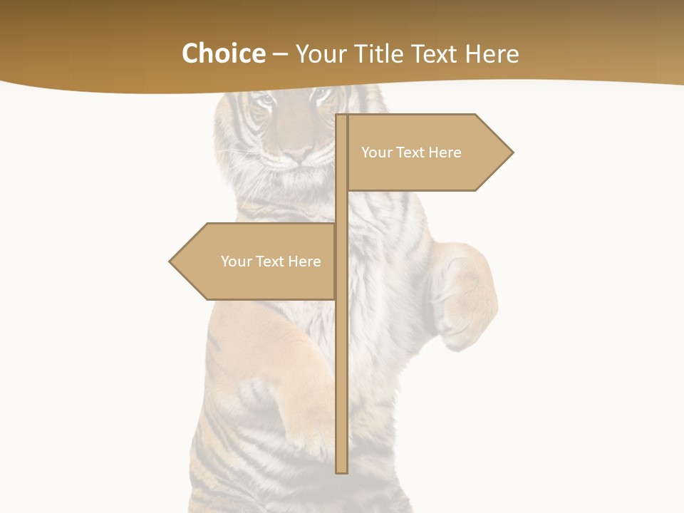 Bengal Awe Wild PowerPoint Template