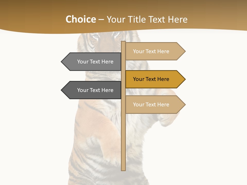 Bengal Awe Wild PowerPoint Template