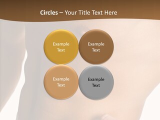 Belly Vigor Potency PowerPoint Template