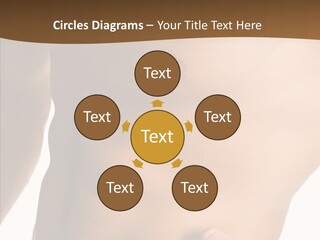 Belly Vigor Potency PowerPoint Template