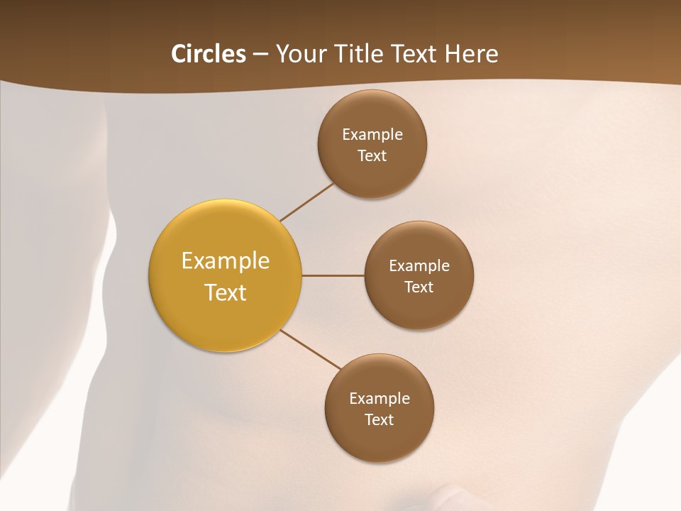Belly Vigor Potency PowerPoint Template
