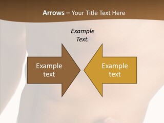 Belly Vigor Potency PowerPoint Template