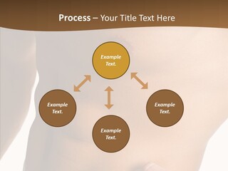Belly Vigor Potency PowerPoint Template
