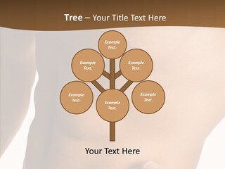 Belly Vigor Potency PowerPoint Template