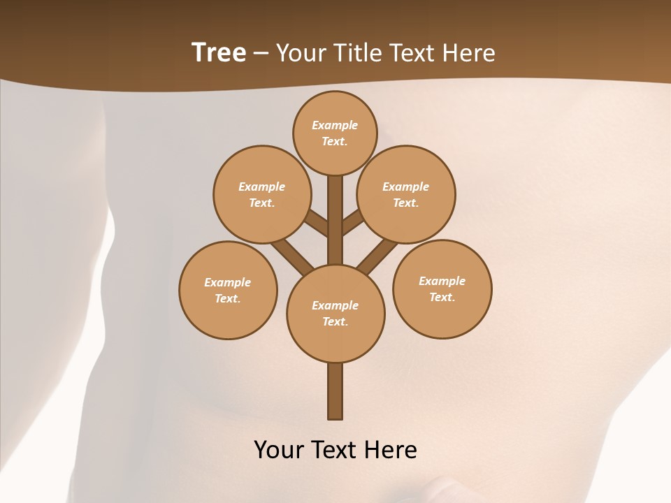 Belly Vigor Potency PowerPoint Template