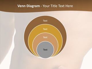 Belly Vigor Potency PowerPoint Template