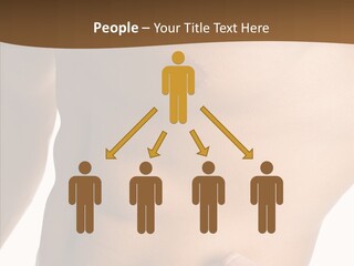 Belly Vigor Potency PowerPoint Template