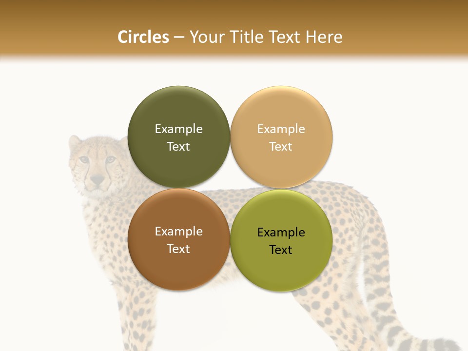 Standing Spotted Male PowerPoint Template