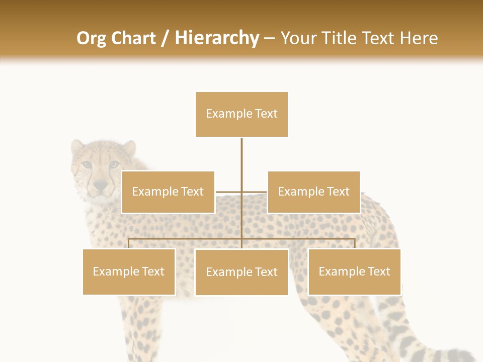 Standing Spotted Male PowerPoint Template